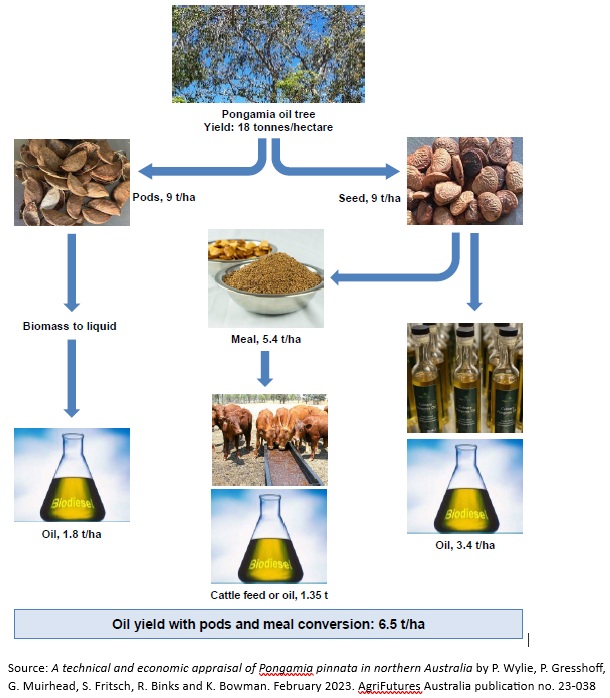 BioEnergy North process